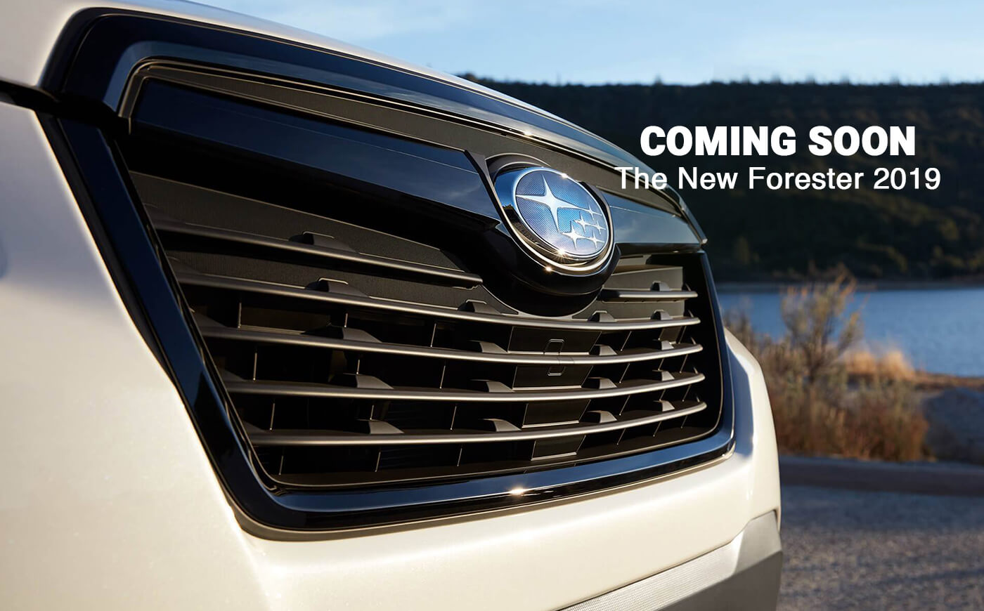 The New Forester